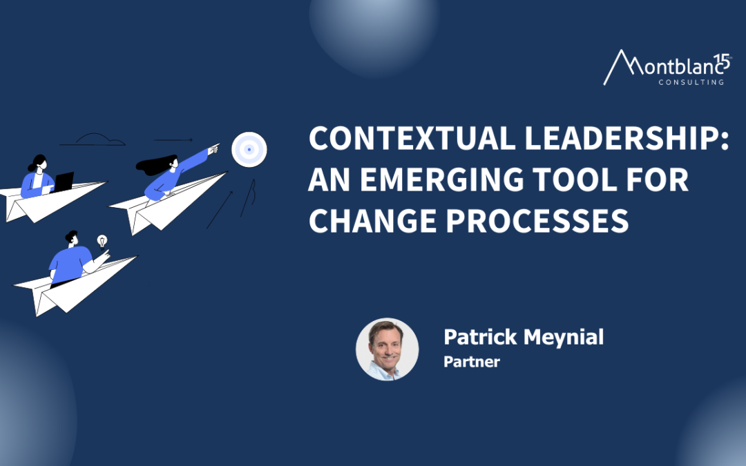 Contextual Leadership: An Emerging Tool for Change Processes